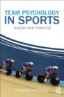 Image for Team psychology in sports  : theory and practice