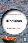 Image for Hinduism: The Basics