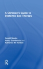 Image for A Clinician&#39;s Guide to Systemic Sex Therapy