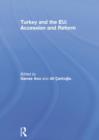 Image for Turkey and the EU: Accession and Reform