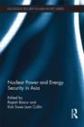 Image for Nuclear power and energy security in Asia