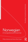 Image for Norwegian  : a comprehensive grammar