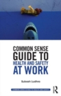 Image for Common Sense Guide to Health &amp; Safety at Work