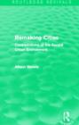 Image for Remaking cities  : contradictions of the recent urban environment