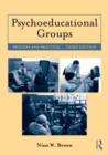 Image for Psychoeducational groups  : process and practice