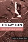 Image for The Gay Teen : Educational Practice and Theory for Lesbian, Gay and Bisexual Adolescents