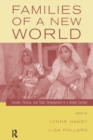 Image for Families of a new world  : gender, politics and state development in a global context