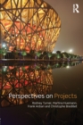 Image for Perspectives on Projects