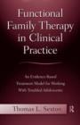 Image for Functional Family Therapy in Clinical Practice