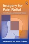 Image for Imagery for Pain Relief : A Scientifically Grounded Guidebook for Clinicians