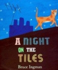 Image for A night on the tiles