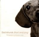 Image for Dachshunds Short and Long