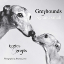 Image for Greyhounds Big And Small
