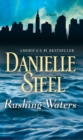 Image for Rushing waters: a novel