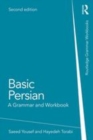 Image for Basic Persian  : a grammar and workbook