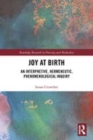 Image for Joy at birth  : an interpretive, hermeneutic, phenomenological inquiry
