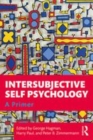 Image for Intersubjective self psychology: a primer