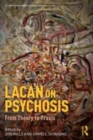 Image for Lacan on psychosis  : from theory to praxis