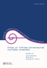 Image for Finite or infinite dimensional complex analysis