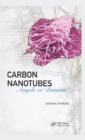 Image for Carbon Nanotubes: Angels or Demons?