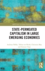 Image for State-permeated Capitalism in Large Emerging Economies