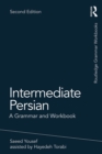 Image for Intermediate Persian: a grammar and workbook