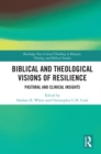 Image for Biblical and Theological Visions of Resilience: Pastoral and Clinical Insights