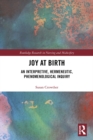Image for Joy at Birth: An Interpretive, Hermeneutic, Phenomenological Inquiry