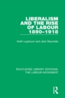 Image for Liberalism and the rise of Labour 1890-1918 : 24