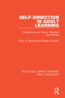 Image for Self-direction in adult learning: perspectives on theory, research and practice
