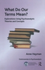 Image for What Do Our Terms Mean?: Explorations Using Psychoanalytic Theories and Concepts