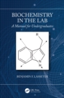 Image for Biochemistry in the Lab: A Manual for Undergraduates
