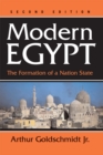 Image for Modern Egypt: the formation of a nation-state