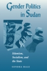 Image for Gender politics in Sudan: Islamism, socialism, and the state
