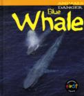 Image for Animals Danger: Blue Whale Paperback