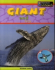 Image for Giant and tiny