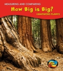 Image for How Big Is Big?