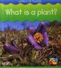 Image for What is a Plant