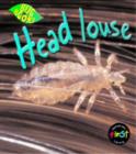 Image for Head Louse