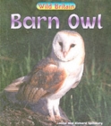 Image for Barn Owl