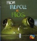 Image for From tadpole to frog