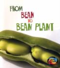 Image for From Bean to Bean Plant