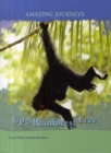 Image for Up a rainforest tree