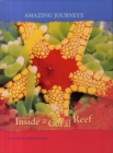 Image for Inside a Coral Reef