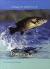 Image for Down a River