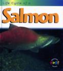 Image for Life cycle of a salmon