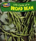 Image for Take-Off! Life Cycle of a: Broad Bean Paperback