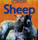 Image for Farm Animals: Sheep   (Cased)