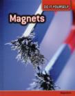 Image for Magnets  : magnetism