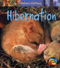 Image for Hibernation